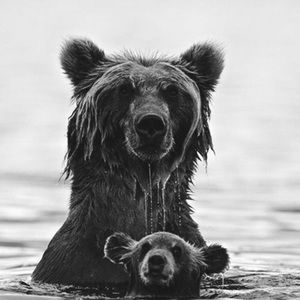 Meet your Posher, Terah